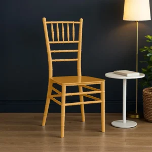 Nilkamal Bliss Plastic Chair