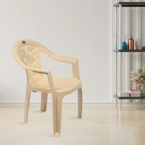 Nilkamal CHR2060 Plastic Arm Chair